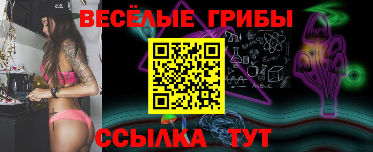Касимов  Галлюциногенные грибы Cubensis  Галлюциногенные грибы Psilocybine cubensis  Вход с VPN 
